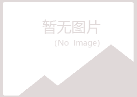 白山夏槐服务有限公司